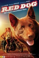 Kırmızı Köpek izle