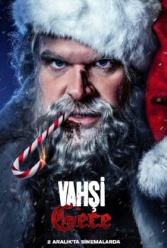 Vahşi Gece izle