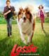 Lassie – Eine abenteuerliche Reise izle
