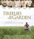 Bahçemdeki ateş böcekleri izle