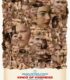 Merhamet Hikayeleri izle