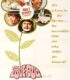 Aşk Böceği (1969) izle